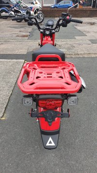 USED 2020 20 HONDA CT125 Hunter Trail Cub Delivery available