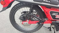 USED 2020 20 HONDA CT125 Hunter Trail Cub Delivery available
