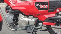 USED 2020 20 HONDA CT125 Hunter Trail Cub Delivery available