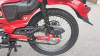 USED 2020 20 HONDA CT125 Hunter Trail Cub Delivery available