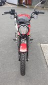 USED 2020 20 HONDA CT125 Hunter Trail Cub Delivery available