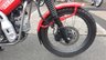 USED 2020 20 HONDA CT125 Hunter Trail Cub Delivery available