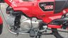 USED 2020 20 HONDA CT125 Hunter Trail Cub Delivery available