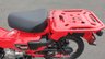 USED 2020 20 HONDA CT125 Hunter Trail Cub Delivery available