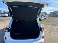 USED 2023 23 FORD KUGA 1.5T EcoBoost ST-Line Edition SUV 5dr Petrol Manual Euro 6 (s/s) (150 ps) 