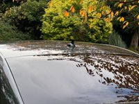USED 2014 64 AUDI A6 SALOON 2.0 TDI ultra Black Edition Saloon 4dr Diesel Manual Euro 6 (s/s) (190 ps) 