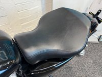 USED 2019 19 HARLEY-DAVIDSON SPORTSTER SPORTSTER XL883 SUPERLOW LOW SEAT & LOW MILES