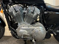 USED 2019 19 HARLEY-DAVIDSON SPORTSTER SPORTSTER XL883 SUPERLOW LOW SEAT & LOW MILES