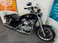 USED 2019 19 HARLEY-DAVIDSON SPORTSTER SPORTSTER XL883 SUPERLOW LOW SEAT & LOW MILES