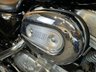 USED 2019 19 HARLEY-DAVIDSON SPORTSTER SPORTSTER XL883 SUPERLOW LOW SEAT & LOW MILES