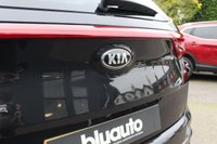 USED 2019 68 KIA SPORTAGE 1.6 CRDi GT-Line SUV 5dr Diesel DCT AWD Euro 6 (s/s) (134 bhp) Superb History, 5 services, HUGE SPEC, Front & Rear Sensors, Rear Camera, Heated Seats Front & Rear, Leather Seats, Apple Car Play, Sat Nav, Voice Command