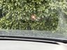 USED 2020 R AUDI SQ7 4.0 TDI V8 Vorsprung SUV 5dr Diesel Tiptronic quattro Euro 6 (s/s) (435 ps) 22in ALLOYS-F/R HEATED-D/COCKPIT