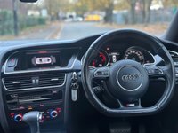 USED 2015 15 AUDI A5 3.0 TDI V6 Black Edition Plus Sportback 5dr Diesel Multitronic Euro 5 (s/s) (204 ps) 