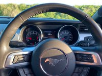 USED 2016 65 FORD MUSTANG 5.0 V8 GT Convertible 2dr Petrol Manual Euro 6 (416 bhp) JUST 16,500 MILES - HEATED AND COOLED SEATS - RARE 5.0 MANUAL - ELECTRIC ROOF - REAR PARKING SENSORS
