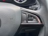 USED 2019 19 SKODA KAROQ 1.6 TDI SE L SUV 5dr Diesel DSG  