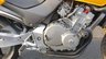 USED 1998 S HONDA CB250 F Hornet Roadster Naked Delivery available