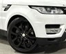 USED 2016 66 LAND ROVER RANGE ROVER SPORT 3.0 SD V6 HSE SUV 5dr Diesel Auto 4WD Euro 6 (s/s) (306 ps) 