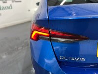 USED 2021 21 SKODA OCTAVIA 1.5 TSI ACT SE L Hatchback 5dr Petrol Manual Euro 6 (s/s) (150 ps) Euro 6, digital dash, alloys, NAV