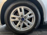 USED 2019 69 FORD TOURNEO CONNECT 1.5 EcoBlue Titanium MPV 5dr Diesel Auto Euro 6 (s/s) (120 ps) Last Service 2k Miles Ago