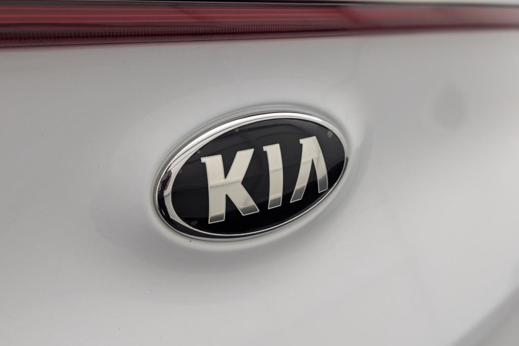 USED 2017 17 KIA SPORTAGE 2.0 CRDi GT-Line SUV 5dr Diesel Manual AWD Euro 6 (134 bhp) Apple Car Play Leather