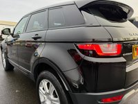 USED 2018 68 LAND ROVER RANGE ROVER EVOQUE 2.0 eD4 SE Tech SUV 5dr Diesel Manual FWD Euro 6 (s/s) (150 ps) ANOTHER STUNNING ADDITION TO OUR EXTENSIVE EVOQUE SELECTION+ONLY 2 FORMER KEEPERS+SERVICE HISTORY+DIESEL+PRIVACY GLASS+ULEZ COMPLIANT+FULL LEATHER INTERIOR+SATELLITE NAVIGATION+PARK ASSIST+CLIMATE CONTROL+18 INCH ALLOY WHEELS+1 FULL YEARS MOT PRIOR TO COLLECTION+FULL RANGE OF FINANCE OPTIONS AVAILABLE+CALL TODAY TO ARRANGE A VIEWING!!!!!!!!!!!!!!!!!!!!!!!!!!!!!!!!!!!!