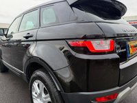 USED 2017 17 LAND ROVER RANGE ROVER EVOQUE 2.0 TD4 SE Tech SUV 5dr Diesel Auto 4WD Euro 6 (s/s) (180 ps) ANOTHER ABSOLUTE BEAUTY, JUST IN+4 WHEEL DRIVE WITH ACTIVE DRIVE LINE+DIESEL+AUTOMATIC+ONLY 1 FORMER KEEPER+SERVICE HISTORY+ULEZ COMPLIANT+CHROME TREAD PLATES+POWERED TAIL GATE+LANE ASSIST+FULL LEATHER INTERIOR+PARK ASSIST+CLIMATE CONTROL+18 INCH ALLOY WHEELS+COST NEW &pound;38675 MAKING THIS USED VEHICLE AMAZING VALUE AT OUR LOW PRICE+CALL NOW TO ARRANGE A VIEWING+READY TO DRIVE AWAY TODAY!!!!!!!!!!!!!!!!!!!!!!!!!!!!!!!!!!!!!!!!!!!!!!!!