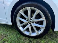 USED 2019 69 SEAT LEON 1.5 TSI EVO FR Sport Hatchback 5dr Petrol DSG Euro 6 (s/s) (150 ps) 