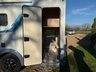 USED 2022 72 BURSTNER DELFIN BURSTNER DELFIN 2.2 680G HARMONY LINE MOTORHOME CoachbuiltBespoke 