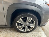 USED 2021 71 LEXUS UX 300e 54.3kWh SUV 5dr Electric Auto (204 ps)+1 OWNER+FSH+1 OWNER+2KEYS+2 CABLES+PREMIUM PLUS PACK+LEATHER SEATS 2 KEYS+1 OWNER+FSH+18" ALLOYS+FULL LEATHER SEATS+BLUETOOTH+MEDIA+PREMIUM PLUS PACK+PRIVACY+PARKING SENSORS+CLIMATE+AIRCON+REVERSE CAMERA+HPI CLEAR