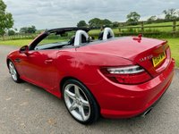 USED 2014 05 MERCEDES-BENZ SLK 1.8 SLK250 AMG Sport Convertible 2dr Petrol G-Tronic+ Euro 5 (s/s) (204 ps) 