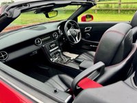 USED 2014 05 MERCEDES-BENZ SLK 1.8 SLK250 AMG Sport Convertible 2dr Petrol G-Tronic+ Euro 5 (s/s) (204 ps) 