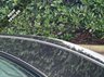 USED 2015 15 MERCEDES-BENZ C-CLASS 2.1 C220 CDI AMG Sport Edition Coupe 2dr Diesel G-Tronic+ Euro 5 (s/s) (170 ps) PREMIUM EDITION | 9 SERVICES