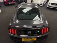 USED 2018 18 FORD MUSTANG 2.3T EcoBoost Fastback 2dr Petrol Manual Euro 6 (317 ps) UK DELIVERY FLAT FEE &pound;175 (SUBJECT TO DEAL) *OVER 100 IMAGES ON OUR WEBSITE*BESPOKE FINANCE ARRANGED*PART EXCHANGE WELCOME*ALL VEHICLES HPI CLEAR