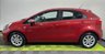 USED 2014 63 KIA RIO 1.25 1 Hatchback 5dr Petrol Manual Euro 5 (84 bhp) 