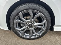 USED 2020 20 FORD FIESTA 1.0T EcoBoost ST-Line Edition Hatchback 5dr Petrol Manual Euro 6 (s/s) (95 ps) 