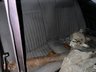USED 1971 K TOYOTA CELICA 1971 TA22 ST FLAT LIGHT BARN FIND, LAST OWNER SINCE 1983