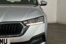 USED 2023 73 SKODA OCTAVIA 1.0 TSI SE Technology Hatchback 5dr Petrol Manual Euro 6 (s/s) (110 ps) 8in Touchscreen, Apple CarPlay / Android Auto, Front / Rear Park Sensors, DAB / Bluetooth, Air Conditioning 8in Touchscreen, Apple CarPlay / Android Auto, Front / Rear Park Sensors, DAB / Bluetooth, Air Conditioning