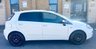 USED 2014 14 FIAT PUNTO 1.2 Pop Hatchback 5dr Petrol Euro 6 (69 bhp) GENUINE LOW MILES+CLEAN EXAMPLE!!