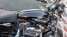 USED 2011 61 HARLEY-DAVIDSON XL 1200C Custom Cruiser  One owner since 2017, lovely bike