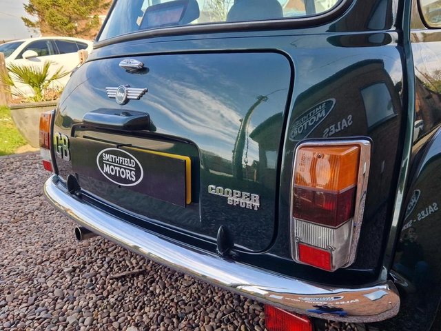 View our ROVER MINI