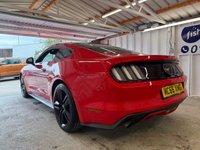 USED 2017 FORD MUSTANG 2.3T EcoBoost Fastback 2dr Petrol Manual Euro 6 (317 ps)+2017+2KEYS+HISTORY+1 FORMER KEEPER+MEDIA+NAVIGATION+BLUETOOTH+LEATHER SEATS+BLACK ALLOYS 2 KEYS+1 FORMER KEEPER+HISTORY+BLACK 19" ALLOYS+CLIMATE+CRUISE+NAV+PARK CONTROL+GHOST ALARM+BLUETOOTH+MEDIA+HPI CLEAR