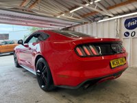 USED 2017 FORD MUSTANG 2.3T EcoBoost Fastback 2dr Petrol Manual Euro 6 (317 ps)+2017+2KEYS+HISTORY+1 FORMER KEEPER+MEDIA+NAVIGATION+BLUETOOTH+LEATHER SEATS+BLACK ALLOYS 2 KEYS+1 FORMER KEEPER+HISTORY+BLACK 19" ALLOYS+CLIMATE+CRUISE+NAV+PARK CONTROL+GHOST ALARM+BLUETOOTH+MEDIA+HPI CLEAR