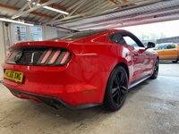 USED 2017 FORD MUSTANG 2.3T EcoBoost Fastback 2dr Petrol Manual Euro 6 (317 ps)+2017+2KEYS+HISTORY+1 FORMER KEEPER+MEDIA+NAVIGATION+BLUETOOTH+LEATHER SEATS+BLACK ALLOYS 2 KEYS+1 FORMER KEEPER+HISTORY+BLACK 19" ALLOYS+CLIMATE+CRUISE+NAV+PARK CONTROL+GHOST ALARM+BLUETOOTH+MEDIA+HPI CLEAR