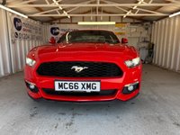 USED 2017 FORD MUSTANG 2.3T EcoBoost Fastback 2dr Petrol Manual Euro 6 (317 ps)+2017+2KEYS+HISTORY+1 FORMER KEEPER+MEDIA+NAVIGATION+BLUETOOTH+LEATHER SEATS+BLACK ALLOYS 2 KEYS+1 FORMER KEEPER+HISTORY+BLACK 19" ALLOYS+CLIMATE+CRUISE+NAV+PARK CONTROL+GHOST ALARM+BLUETOOTH+MEDIA+HPI CLEAR