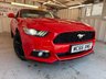 USED 2017 FORD MUSTANG 2.3T EcoBoost Fastback 2dr Petrol Manual Euro 6 (317 ps)+2017+2KEYS+HISTORY+1 FORMER KEEPER+MEDIA+NAVIGATION+BLUETOOTH+LEATHER SEATS+BLACK ALLOYS 2 KEYS+1 FORMER KEEPER+HISTORY+BLACK 19" ALLOYS+CLIMATE+CRUISE+NAV+PARK CONTROL+GHOST ALARM+BLUETOOTH+MEDIA+HPI CLEAR