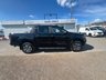 USED 2021 21 FORD RANGER 2.0 EcoBlue Wildtrak Pickup Double Cab 4dr Diesel Auto 4WD Euro 6 (s/s) (213 ps) 1 OWNER FORD RANGER WILDTRAK     RECENTLY MOT'D + SERVICED     CALL TO FIND OUT MORE AND TO DISCUSS FINANCE IF REQUIRED