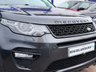 USED 2017 17 LAND ROVER DISCOVERY SPORT 2.0 TD4 HSE DYNAMIC LUX BLACK PACK PANORAMIC ROOF HEATING & COOLING SEATS SUV 5DR DIESEL AUTO 4WD EURO 6 (S/S) (180 PS) 7 SEATS~HEAT/COOL SEATS~NAV~CAMERA