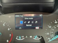 USED 2023 73 FORD FIESTA 1.0T EcoBoost MHEV Active Edition Hatchback 5dr Petrol Manual Euro 6 (s/s) (125 ps) BLUETOOTH-DAB-PARK SENSORS-CRUISE
