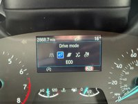 USED 2023 73 FORD FIESTA 1.0T EcoBoost MHEV Active Edition Hatchback 5dr Petrol Manual Euro 6 (s/s) (125 ps) BLUETOOTH-DAB-PARK SENSORS-CRUISE