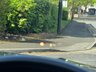 USED 2021 21 BMW 3 SERIES 2.0 330e 12kWh M Sport Saloon 4dr Petrol Plug-in Hybrid Auto Euro 6 (s/s) (292 ps) 